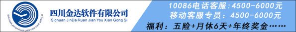 金達軟件公司