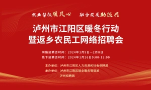 泸州市江阳区暖冬行动、就业援助月、返乡农民工网络招聘会