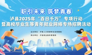 职引未来 筑梦青春——泸县2025年“百日千万”专项行动 暨高校毕业生等青年就业网络专场招聘活动